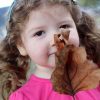 The end of the Terrible Twos