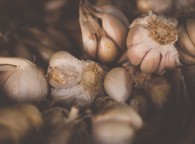 5 reasons vampires are repelled by garlic