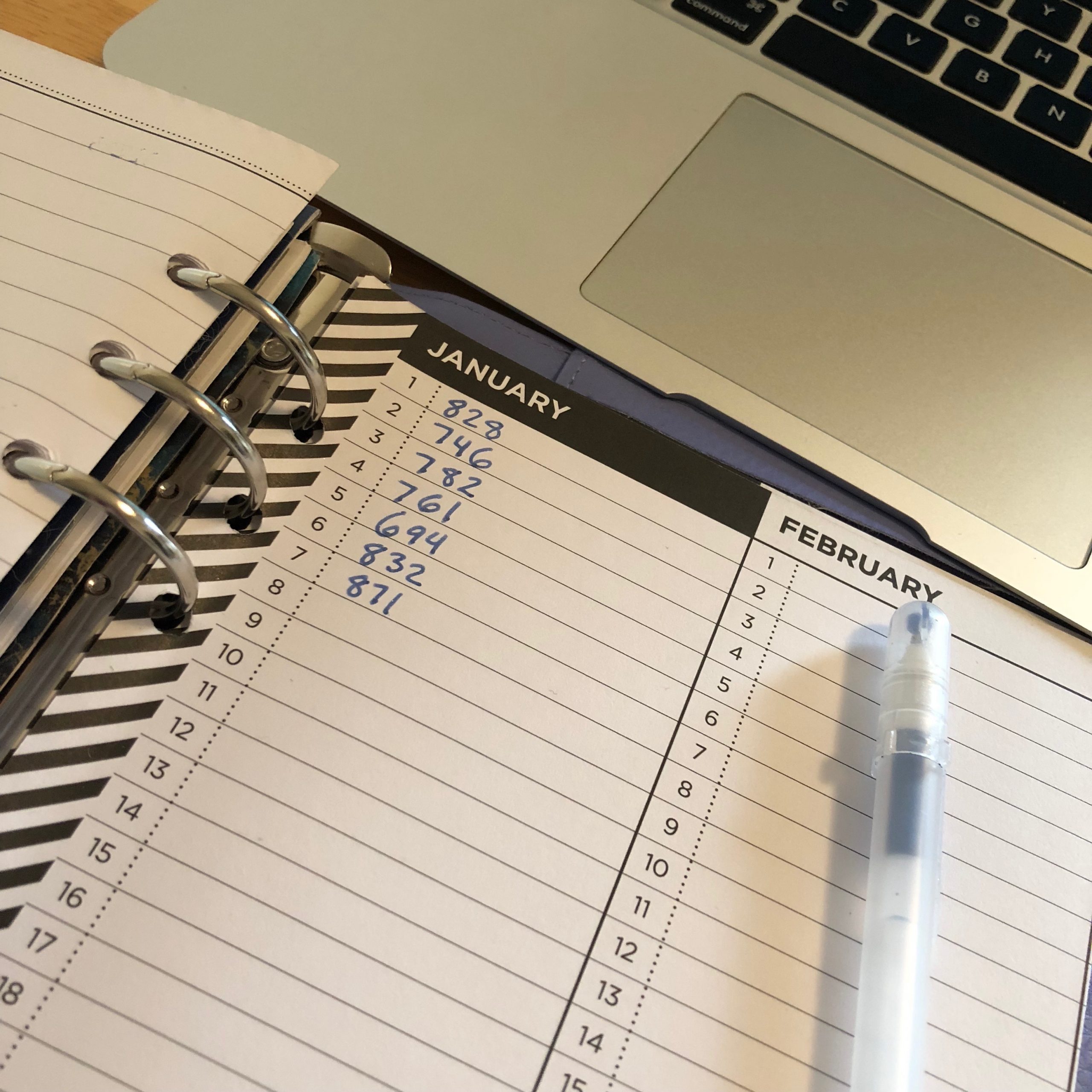 More writing plans for 2019