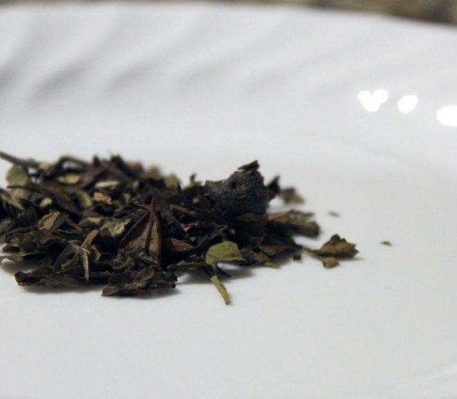 Tea review: Adagio white blueberry