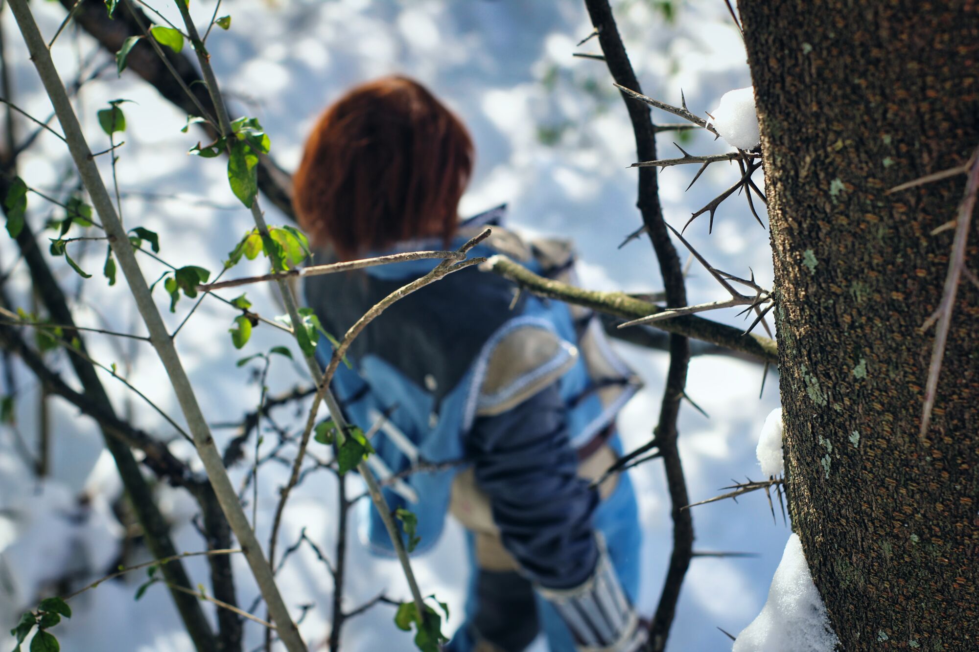Spring snows [Doll photos]